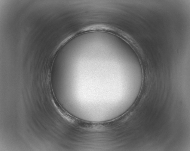 X0000081561233200701150951