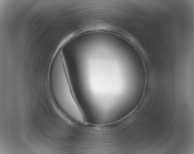 X0000081561234200701150951