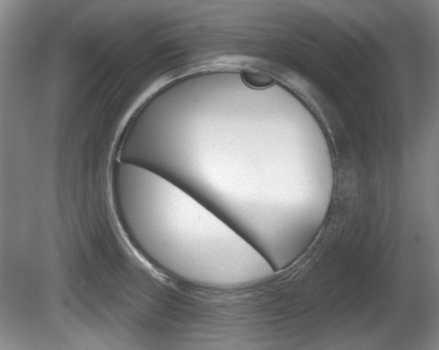 X0000081561235200701150951