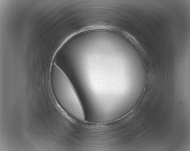 X0000081561236200701150951