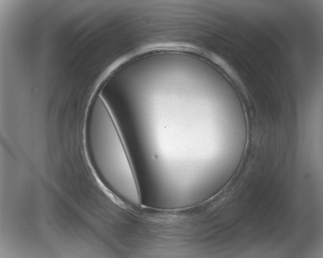 X0000081561237200701150951