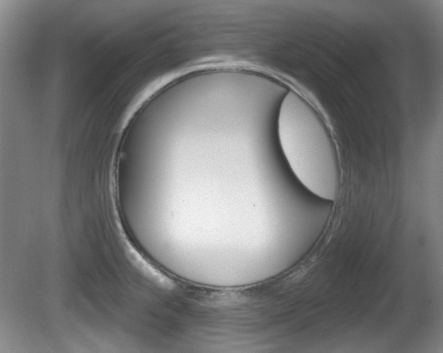 X0000081561239200701150951