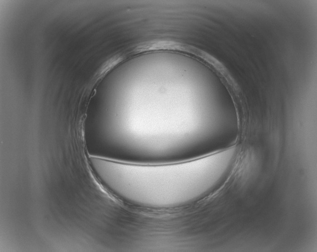 X0000081561241200701150951