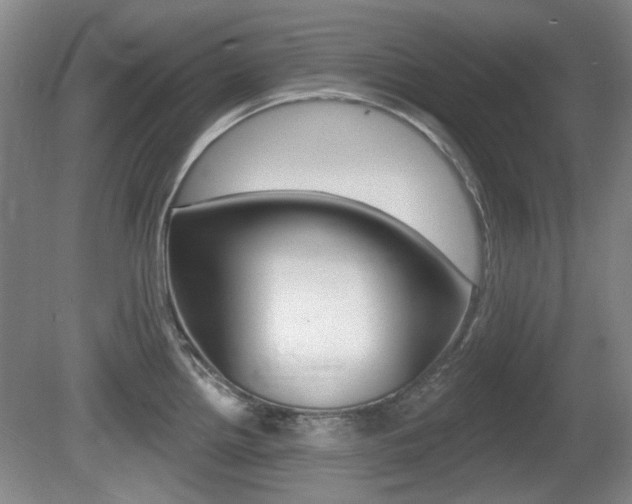 X0000081561242200701150951