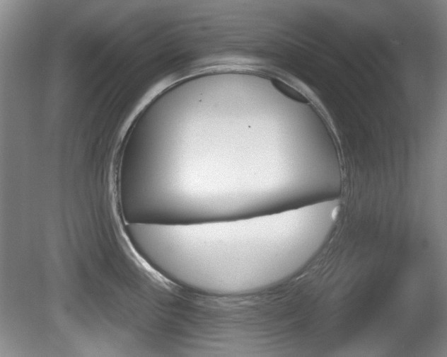 X0000081561243200701150951