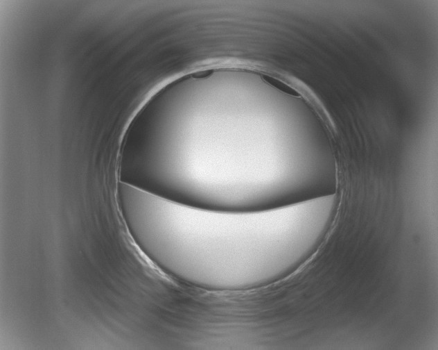 X0000081561244200701150951
