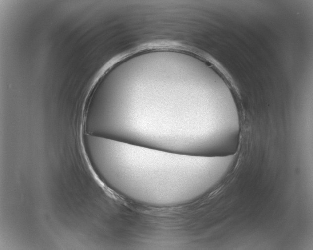 X0000081561245200701150951