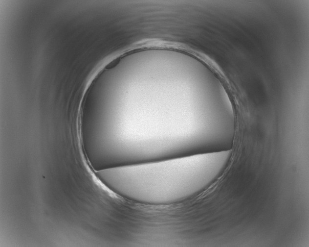 X0000081561247200701150951