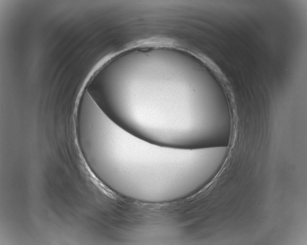 X0000081561248200701150951