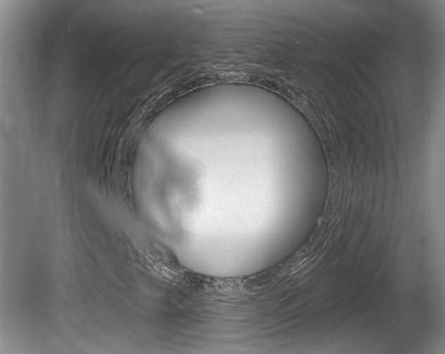 X0000081561249200701150950