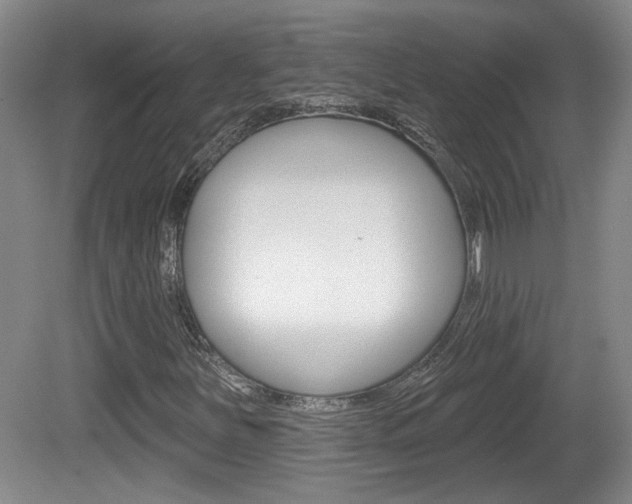 X0000081561251200701150950