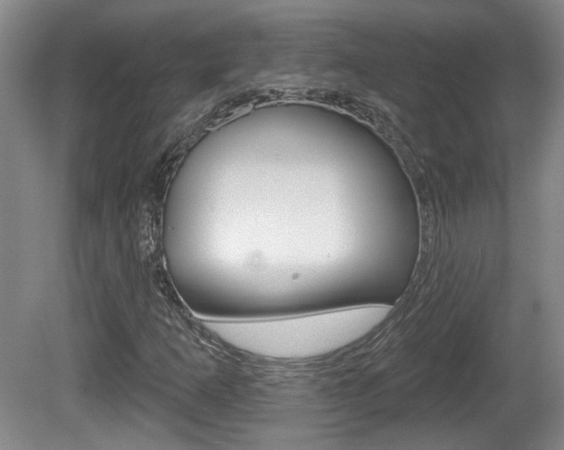 X0000081561253200701150950