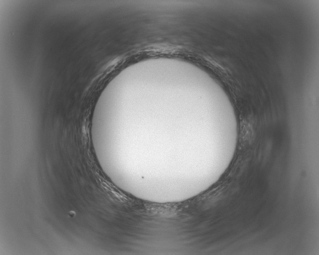 X0000081561254200701150950
