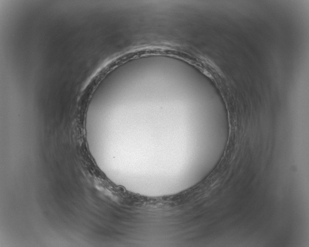X0000081561256200701150950