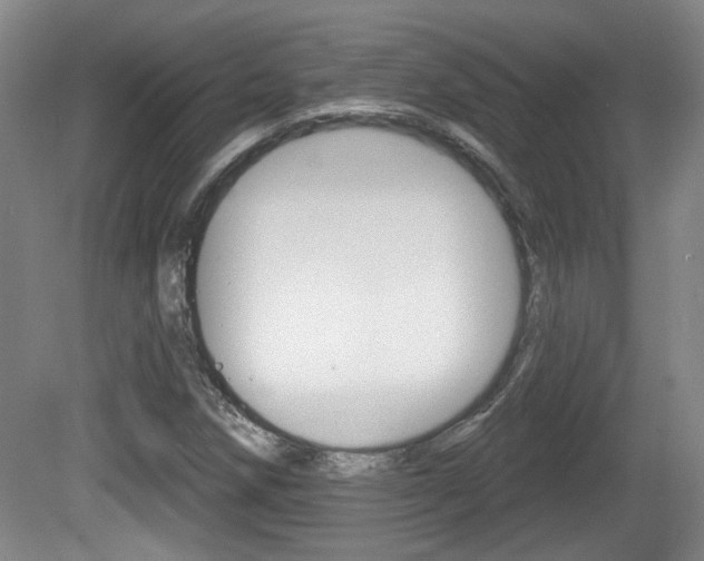 X0000081561258200701150950