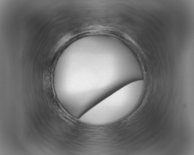 X0000081561259200701150950