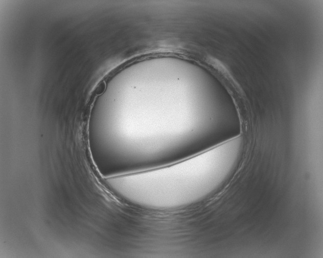 X0000081561260200701150950