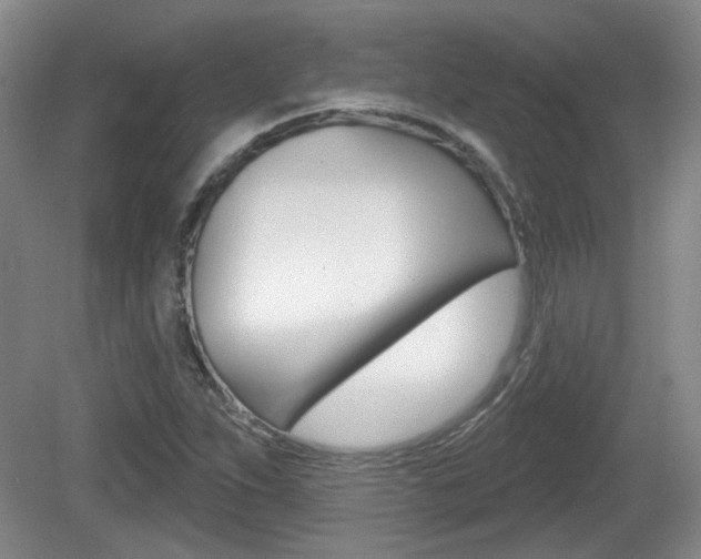 X0000081561263200701150950