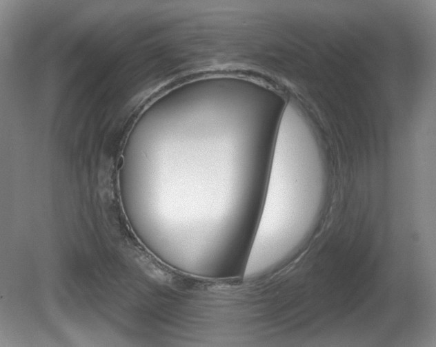 X0000081561265200701150950