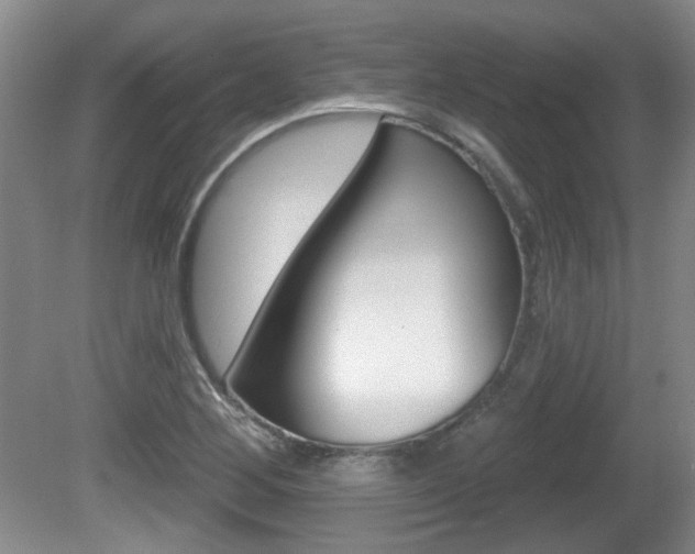 X0000081561268200701150950