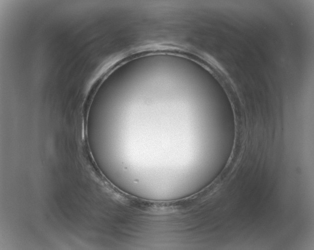 X0000081561269200701150950