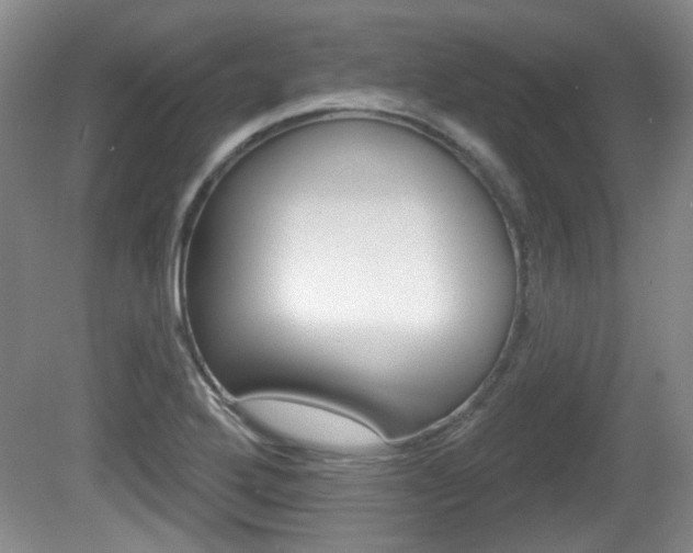 X0000081561272200701150950