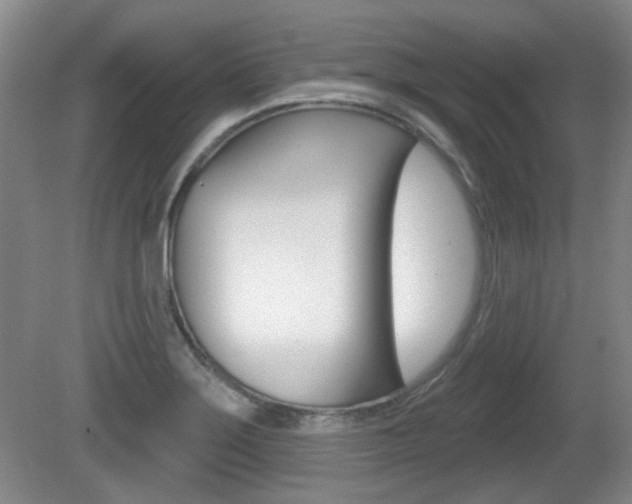 X0000081561275200701150950