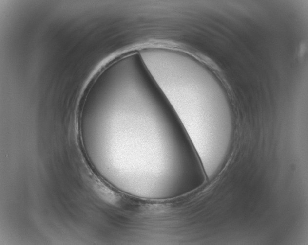 X0000081561280200701150950