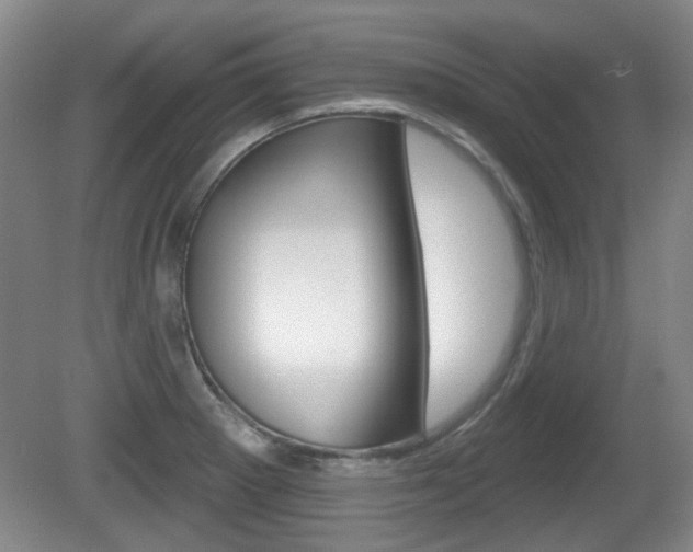 X0000081561281200701150950
