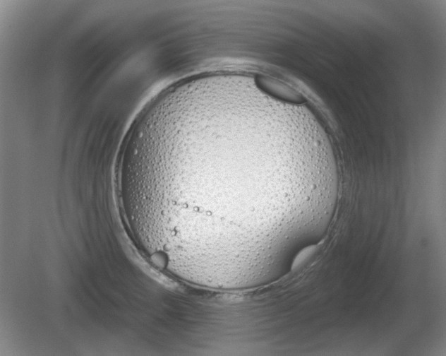 X0000081561283200701150950