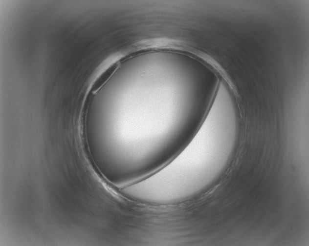 X0000081561285200701150950