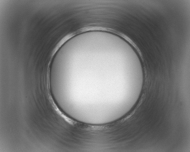 X0000081561290200701150950