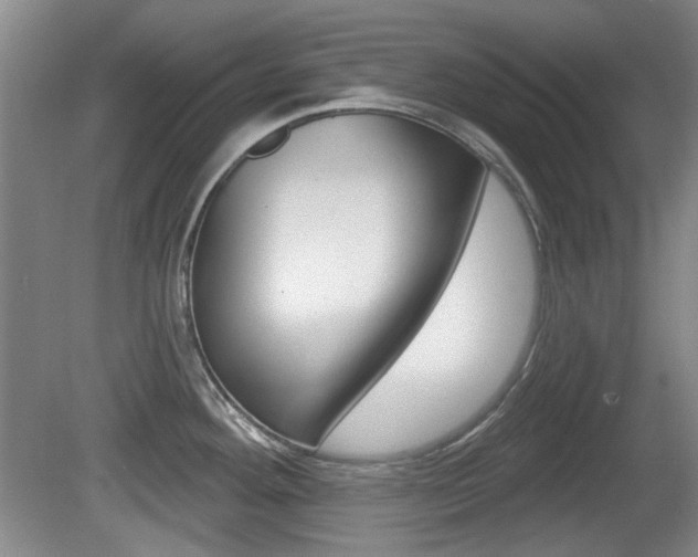 X0000081561292200701150950
