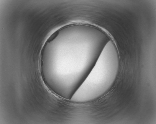 X0000081561295200701150950