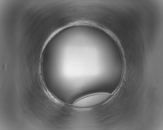 X0000081561296200701150950