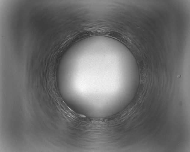 X0000081561297200701150949