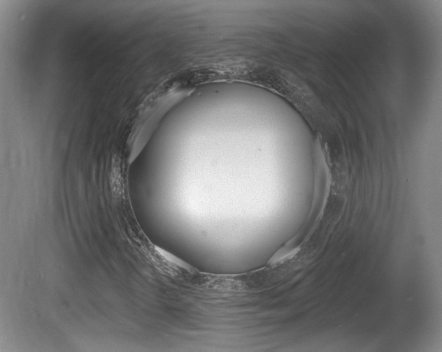 X0000081561298200701150949