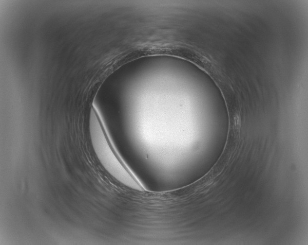 X0000081561300200701150949