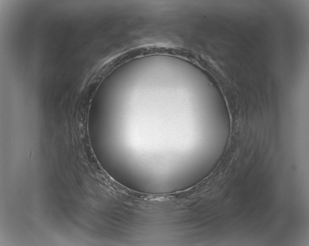 X0000081561303200701150949