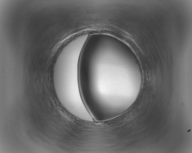 X0000081561304200701150949