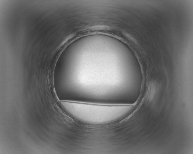 X0000081561305200701150949