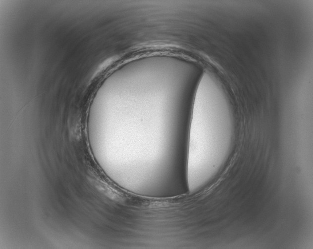 X0000081561306200701150949