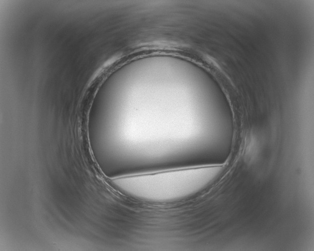 X0000081561307200701150949