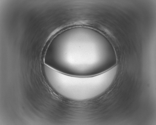 X0000081561308200701150949
