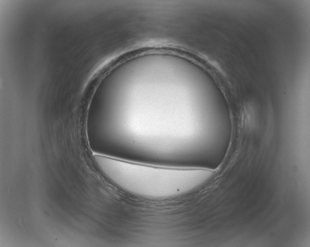 X0000081561311200701150949