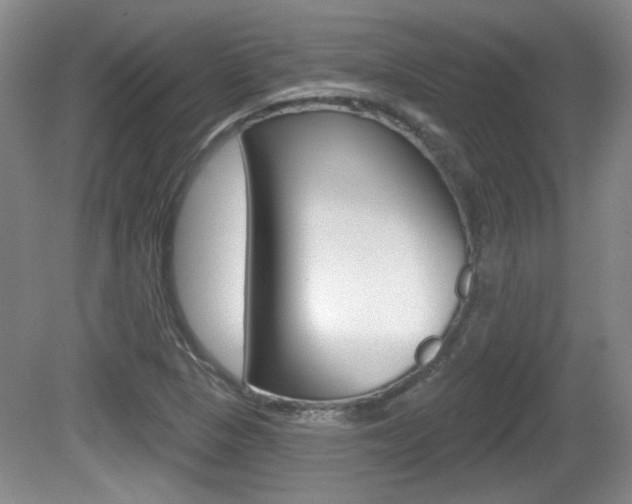 X0000081561313200701150949