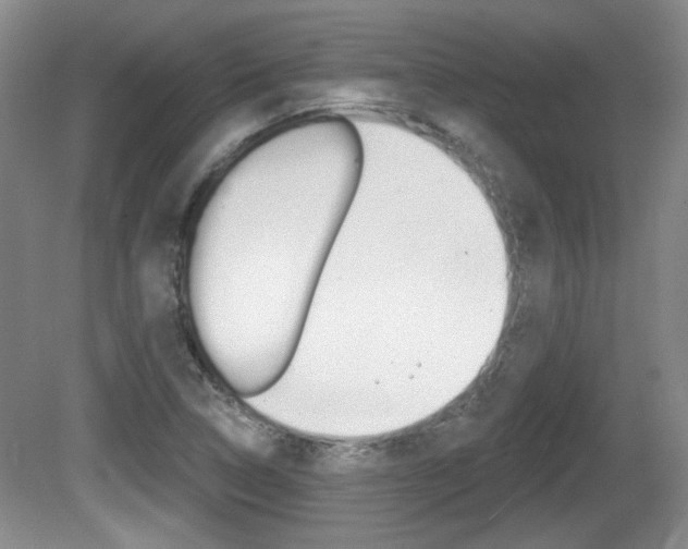 X0000081561314200701150949