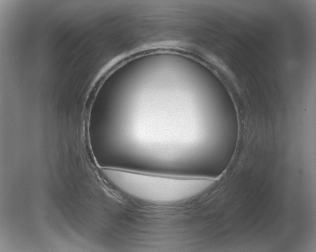X0000081561316200701150949