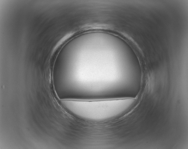 X0000081561317200701150949