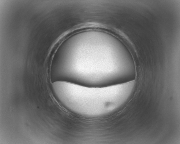 X0000081561318200701150949
